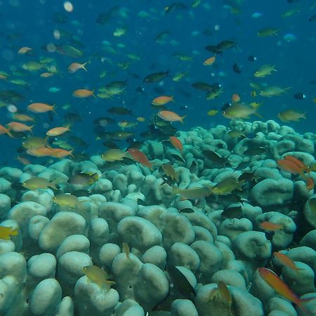 The High Dive Gili Gede By Ultimate Resorts Luaran gambar