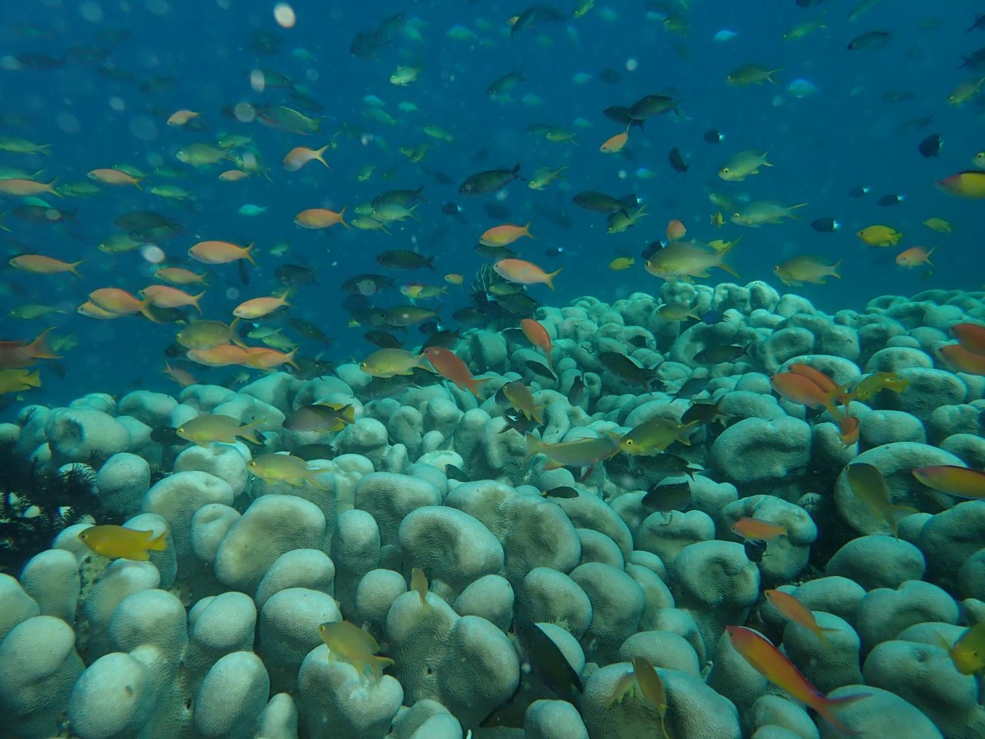 The High Dive Gili Gede By Ultimate Resorts Luaran gambar